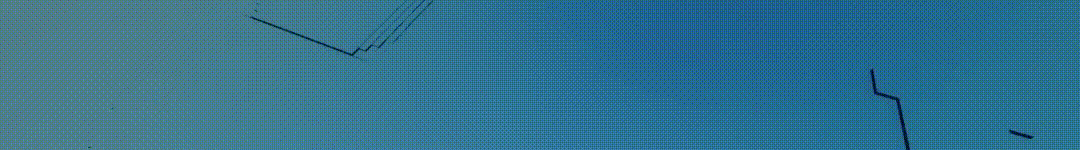 1740474844244349.gif 640.gif
